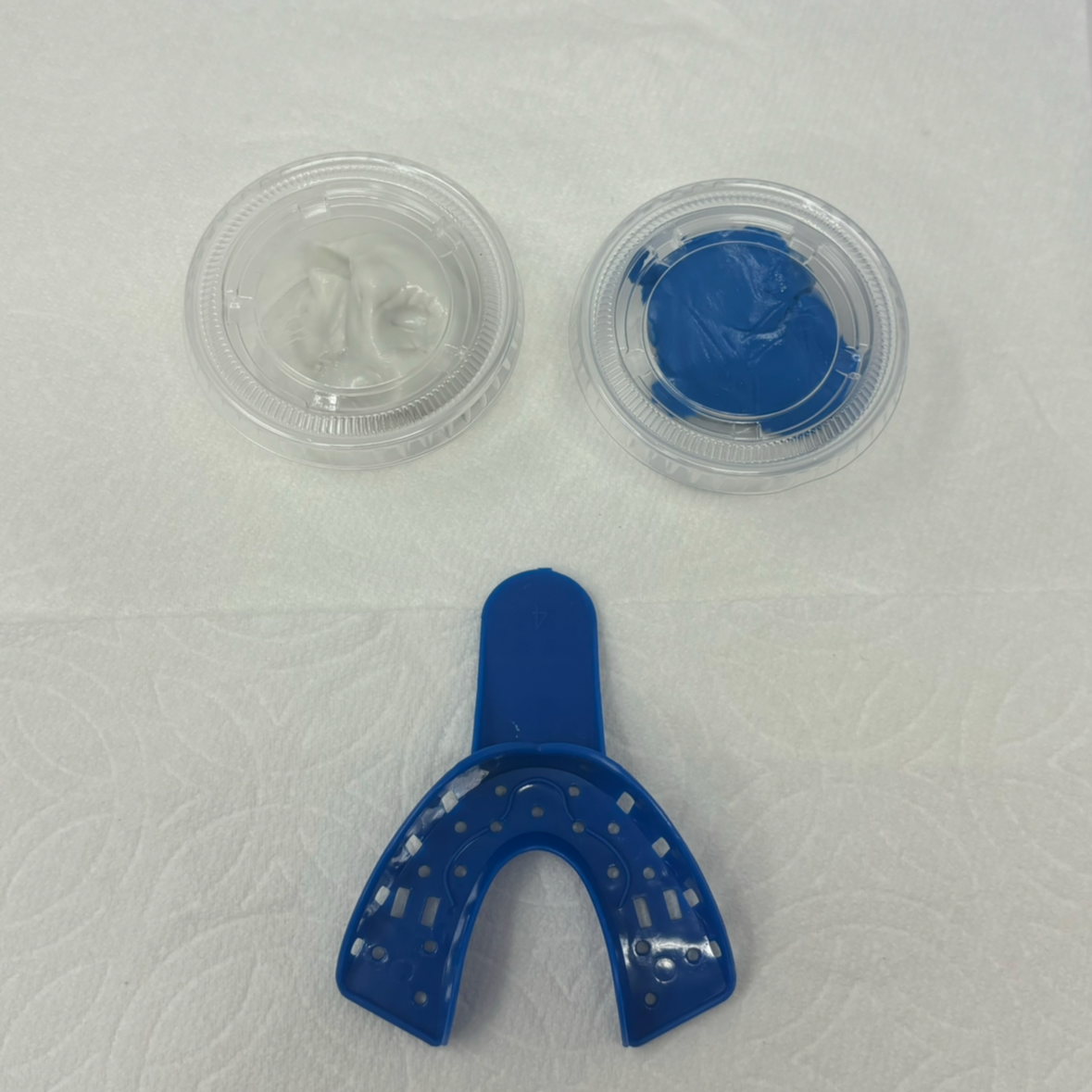 Mold kit DIY (add to cart)